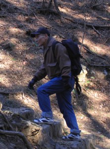 sensei hiking